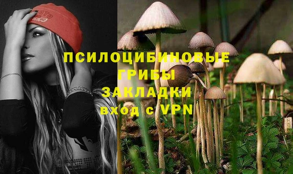 ГАЛЛЮЦИНОГЕННЫЕ ГРИБЫ Алексеевка