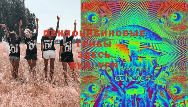 ГАЛЛЮЦИНОГЕННЫЕ ГРИБЫ Алексеевка